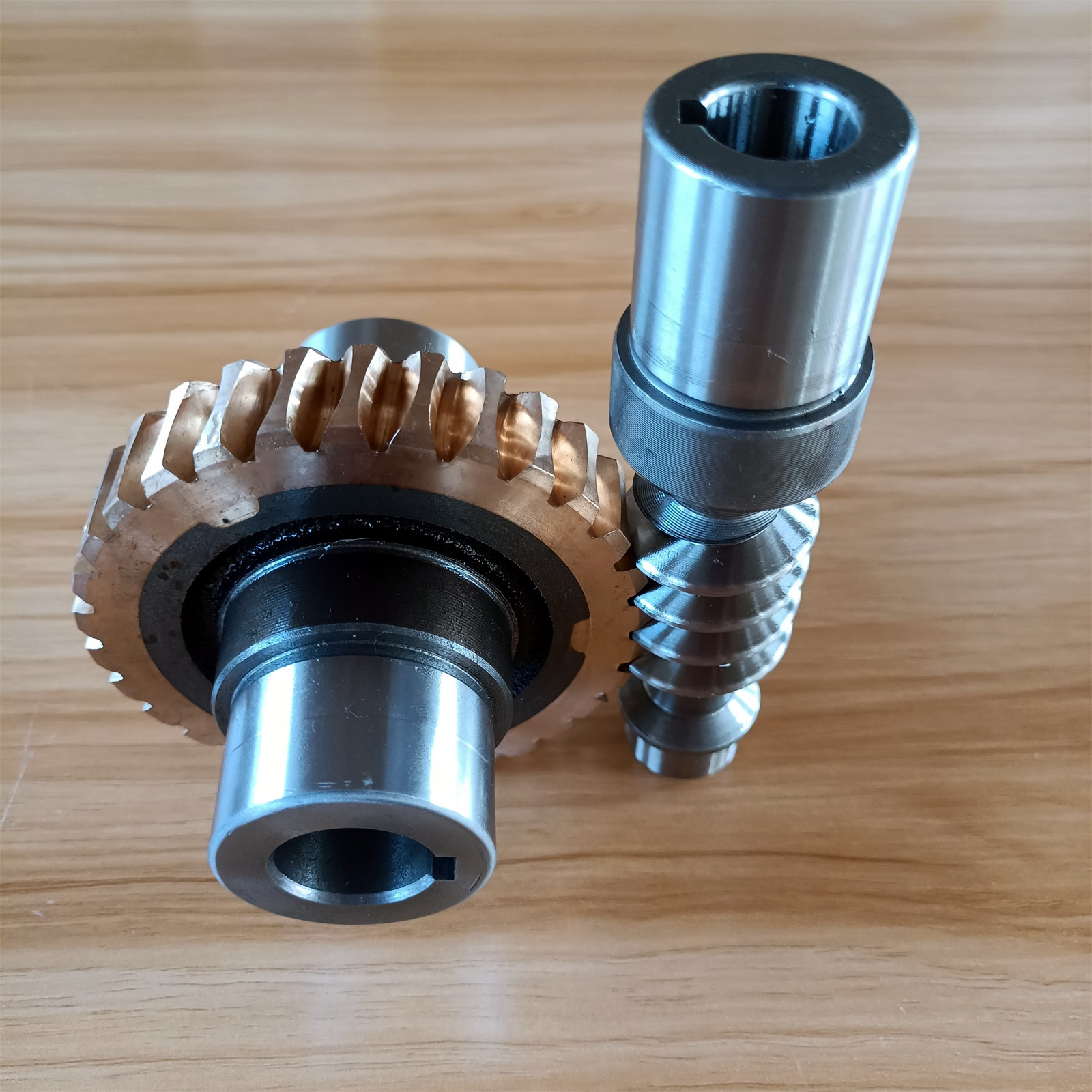 Worm Gear & Worm Reducer